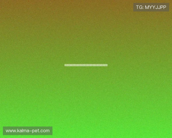 亚冠赛场风云再起中超三强集体受挫未尝胜绩前景堪忧引发球迷热议