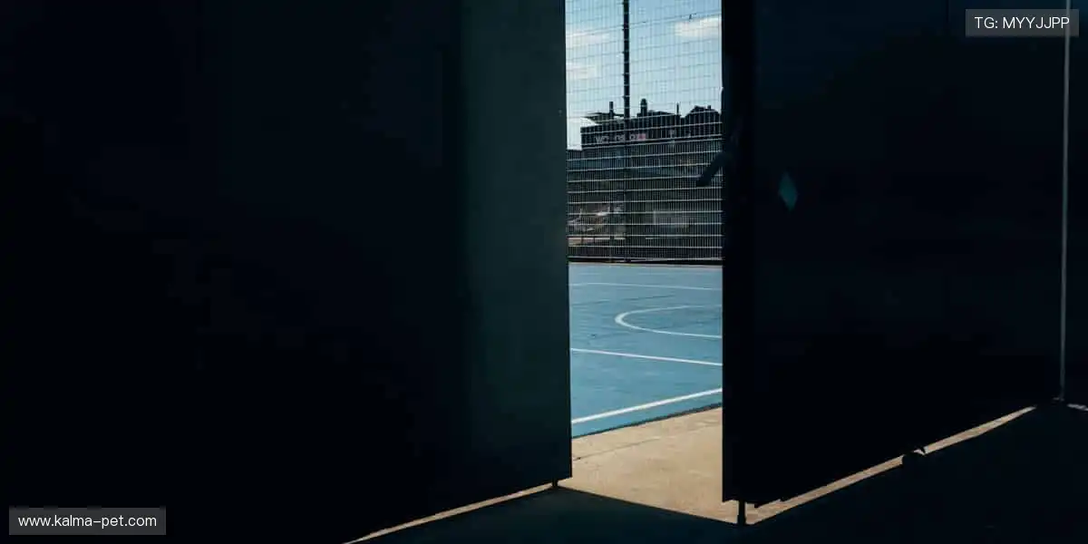 slider-1 Image